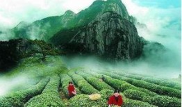 武夷山最近爆料新闻事件,最新爆料揭秘真相