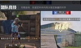 王小姐爆料和平精英视频,揭秘和平精英幕后精彩瞬间